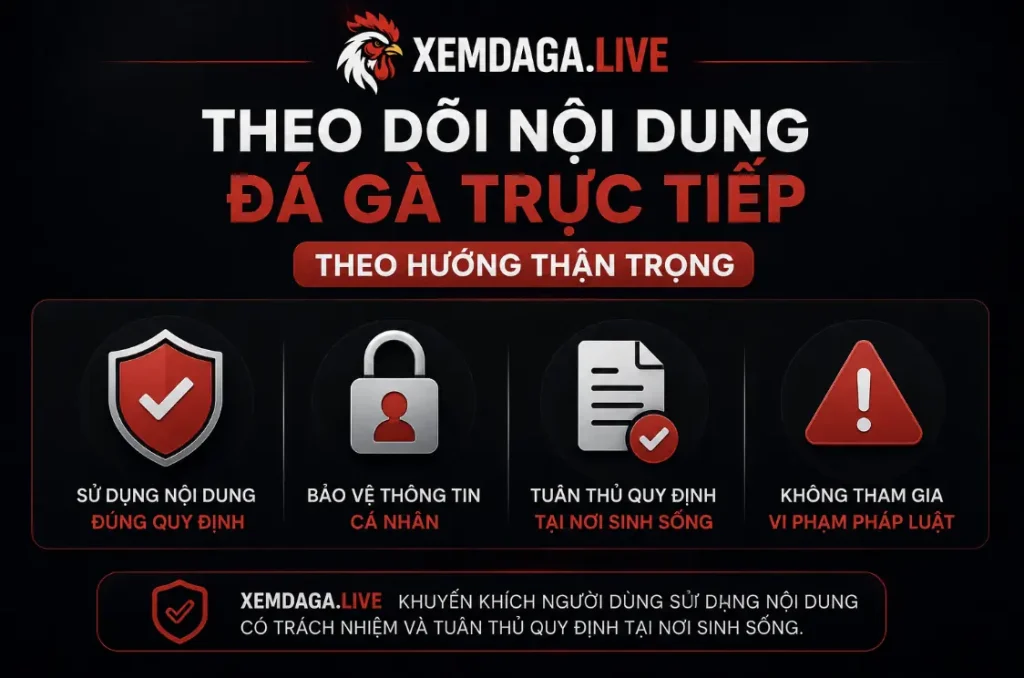 Người xem Xemdaga cần sử dụng nội dung đúng quy định